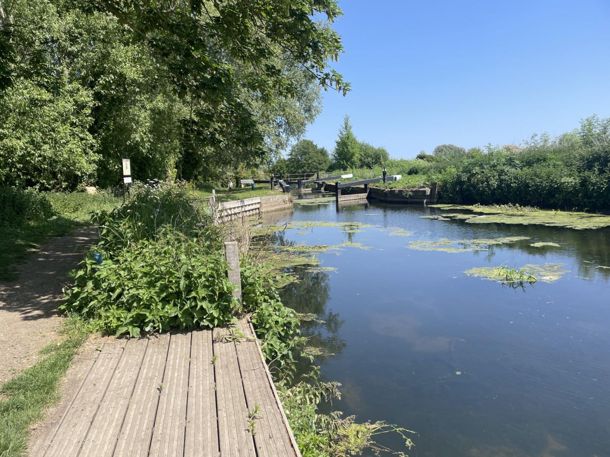 image 24